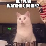 DOUCHE BAG ANGORA | HEY MAN WATCHA COOKIN? IM COOKIN THE CAT | image tagged in douche bag angora | made w/ Imgflip meme maker