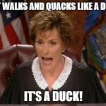 Judge Judy Duck | IF IT WALKS AND QUACKS LIKE A DUCK; IT'S A DUCK! | image tagged in judge judy,duck,quack | made w/ Imgflip meme maker