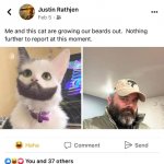 Cat beards meme