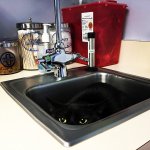 black cat in sink