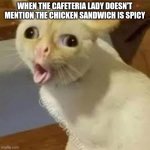Why do they do this tho | WHEN THE CAFETERIA LADY DOESN'T MENTION THE CHICKEN SANDWICH IS SPICY | image tagged in coughing cat,chicken,school,lunch | made w/ Imgflip meme maker