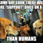 Anxiety dogs on a plane | SOME DAY SOON, THERE WILL BE MORE "SUPPORT" DOGS ON A PLANE; THAN HUMANS | image tagged in anxiety dogs on a plane | made w/ Imgflip meme maker