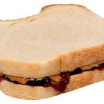 Peanut butter jelly sandwiches