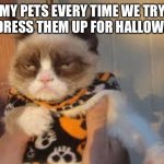 *annoyed pet noises* | MY PETS EVERY TIME WE TRY TO DRESS THEM UP FOR HALLOWEEN | image tagged in memes,grumpy cat halloween,grumpy cat,halloween,spooktober,pets | made w/ Imgflip meme maker