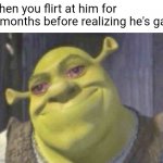 oops | when you flirt at him for 2 months before realizing he's gay | image tagged in crying shrek | made w/ Imgflip meme maker