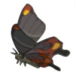 SMOTHERWING butterfly