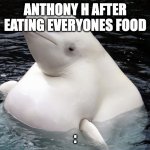 Fat Whale | ANTHONY H AFTER EATING EVERYONES FOOD; : | image tagged in fat whale | made w/ Imgflip meme maker