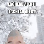 egghead | EGGHEAD ALERT! EGGHEAD ALERT! | image tagged in egghead,eggy,egg,memes | made w/ Imgflip meme maker