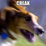 efwdvegetv | CREAK | image tagged in dog on the stuff | made w/ Imgflip meme maker