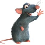 Remy the Rat meme