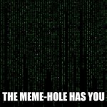 The MEME-HOLE HAS YOU | THE MEME-HOLE HAS YOU | image tagged in matrix screen neoliberalism,welcome to the matrix | made w/ Imgflip meme maker