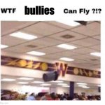 WTF --------- Can Fly ?!? | bullies | image tagged in wtf --------- can fly,memes,funny | made w/ Imgflip meme maker