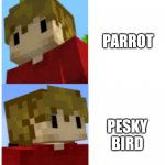 Grian Not that But This | PARROT; PESKY BIRD | image tagged in grian not that but this | made w/ Imgflip meme maker