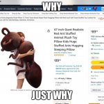 Bruh | WHY; JUST WHY | image tagged in ant | made w/ Imgflip meme maker