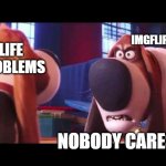 Nobody cares | LIFE PROBLEMS IMGFLIPPERS NOBODY CARES!!! | image tagged in nobody cares,life problems,imgflip | made w/ Imgflip meme maker