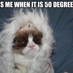 It is cold | THIS IS ME WHEN IT IS 50 DEGREES OUT | image tagged in cold grumpy cat | made w/ Imgflip meme maker