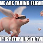 Pigs are flying | WE ARE TAKING FLIGHT; TRUMP IS RETURNING TO TWITTER | image tagged in flying pigs | made w/ Imgflip meme maker