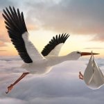 Stork with delivery