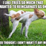 Dog peeing on tree | I LIKE TREES SO MUCH THAT I WANTED TO REINCARNATE AS ONE. BETTER THOUGHT, I DON'T WANT IT ANY MORE. | image tagged in dog peeing on tree | made w/ Imgflip meme maker
