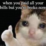 lol what a life | when you paid all your bills but you're broke now | image tagged in cat cry | made w/ Imgflip meme maker