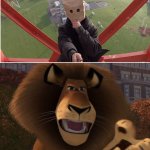 Alex the lion meme