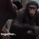 Apes Together... strong! GIF Template