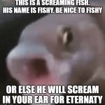 Poggers Fish | THIS IS A SCREAMING FISH. HIS NAME IS FISHY. BE NICE TO FISHY; OR ELSE HE WILL SCREAM IN YOUR EAR FOR ETERNATY | image tagged in poggers fish | made w/ Imgflip meme maker