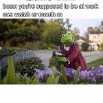 Kermit Watering Plants | *crypto portfolio up ~16% this week*; boss: you're supposed to be at work; me: watch ur mouth rn | image tagged in kermit watering plants | made w/ Imgflip meme maker
