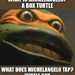 "I LOVE BEING IN TURTLES!!" | WHAT IS MICHELANGELO?
A BOX TURTLE; WHAT DOES MICHELANGELO TAP?
TURTLE BOX | image tagged in tmnt mikey | made w/ Imgflip meme maker