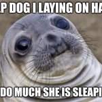 Awkward Moment Sealion Meme Generator - Imgflip