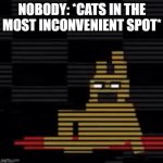 true | NOBODY: *CATS IN THE MOST INCONVENIENT SPOT* | image tagged in spring locks,funny,cats,cat,fnaf,nobody | made w/ Imgflip meme maker