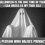 This trick is a treat | HALLOWEEN IS THE ONE TIME OF YEAR 
I CAN DRESS AS MY TRUE SELF; A PERSON WHO VALUES PRIVACY | image tagged in ghost | made w/ Imgflip meme maker