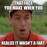 That face you make when you realize it wasn't a fart | THAT FACE YOU MAKE WHEN YOU; REALIZE IT WASN'T A FART | image tagged in adam sandler mouth dropped | made w/ Imgflip meme maker