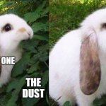 Another one bites the dust | ANOTHER ONE; THE DUST | image tagged in bunny biting leaf | made w/ Imgflip meme maker