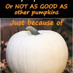 Happy Halloween! | Who thinks this pumpkin
is BETTER THAN other
pumpkins? Or NOT AS GOOD AS
other pumpkins; Just because of; The color of its skin? | image tagged in white pumpkin 500x500,happy halloween,rick75230,no racism | made w/ Imgflip meme maker