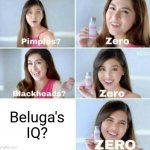 Zero IQ | Beluga's IQ? | image tagged in pimples zero,beluga,memes,funny,iq,zero | made w/ Imgflip meme maker