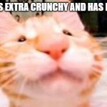 my dog is extra crunchy and has diarrhea | MY DOG IS EXTRA CRUNCHY AND HAS DIARRHEA | image tagged in my dog is extra crunchy and has diarrhea | made w/ Imgflip meme maker