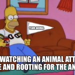 Rooting For The Animal | TEAM ANIMAL; *ME WATCHING AN ANIMAL ATTACK MOVIE AND ROOTING FOR THE ANIMAL* | image tagged in homer simpson team flag,animal attack,the simpsons,team animal,movies | made w/ Imgflip meme maker