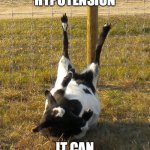Fainting Goat | ORTHOSTATIC HYPOTENSION; IT CAN HAPPEN TO ANYONE | image tagged in fainting goat | made w/ Imgflip meme maker