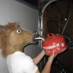 Horse drinking gasoline