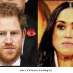 Harry the spare and wife meghan share