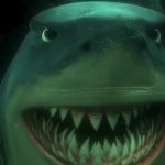 bruce the shark nemo meme