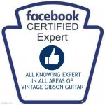 Facebook certified expert badge 1 | ALL KNOWING EXPERT   IN ALL AREAS OF   
VINTAGE GIBSON GUITAR | image tagged in facebook certified expert badge 1 | made w/ Imgflip meme maker