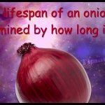 the lifespan of an onion is determined by how long it lives