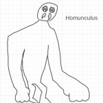 Homunculus