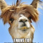 funky llama | ME WHEN; I HAVE TO CLEAN BATHROOMS :| | image tagged in funky llama | made w/ Imgflip meme maker