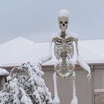 Snowy Skeleton meme