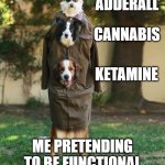 Me, pretending to be functional | ADDERALL; CANNABIS; KETAMINE; ME PRETENDING TO BE FUNCTIONAL | image tagged in three things in a trench coat pretending to be a human | made w/ Imgflip meme maker