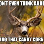 deer meme | DON’T EVEN THINK ABOUT; PUTTING THAT CANDY CORN OUT! | image tagged in deer meme | made w/ Imgflip meme maker