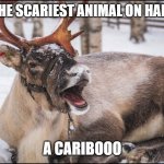 Caribou | WHAT'S THE SCARIEST ANIMAL ON HALLOWEEN? A CARIBOOO | image tagged in caribou,halloween,funny,dad joke | made w/ Imgflip meme maker